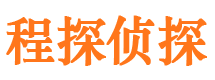 九龙寻人公司